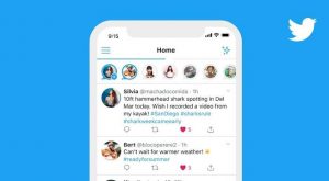 Ramai Fitur Fleets di Twitter, Sudahkah Anda Mencobanya?