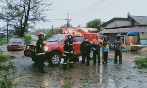 Gerak Cepat Tim Rescue Pemadam Bersihkan Pohon Tumbang di Jalan