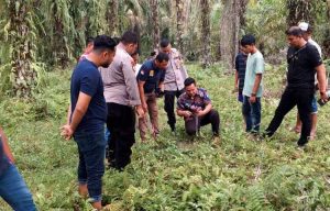Pria Parubaya Ditemukan Meninggal Dunia Di Kebun Kelapa Sawit Jorong Padang Canduh Kinali