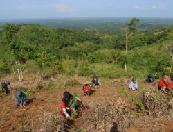 Telkom Berperan Aktif dalam Pemulihan Lahan Kritis dengan Reboisasi 33.800 Bibit Pohon